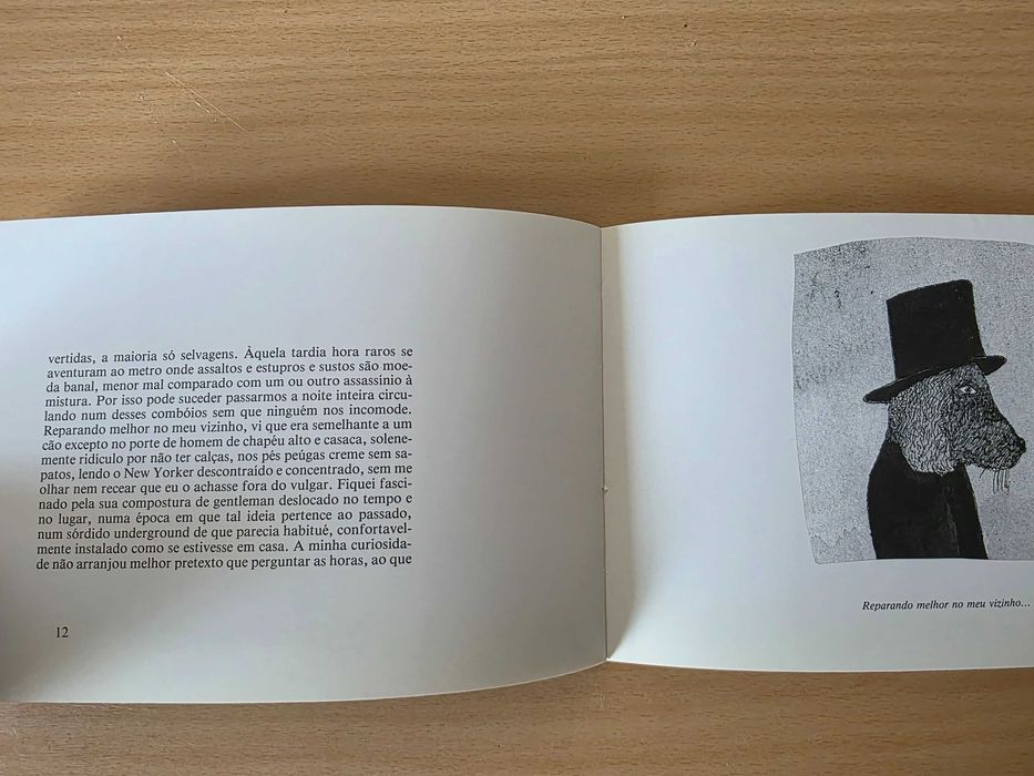 Livro "Os Passeios do Sonhador Solitário" de Almeida Faria