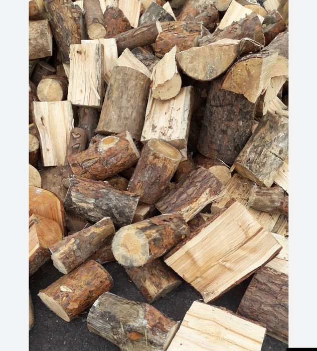 Sosna sucha sezonowana