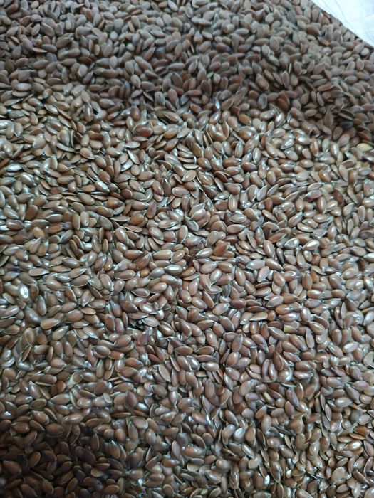 Насіння льону золотий 65гр та коричневий 45гр!