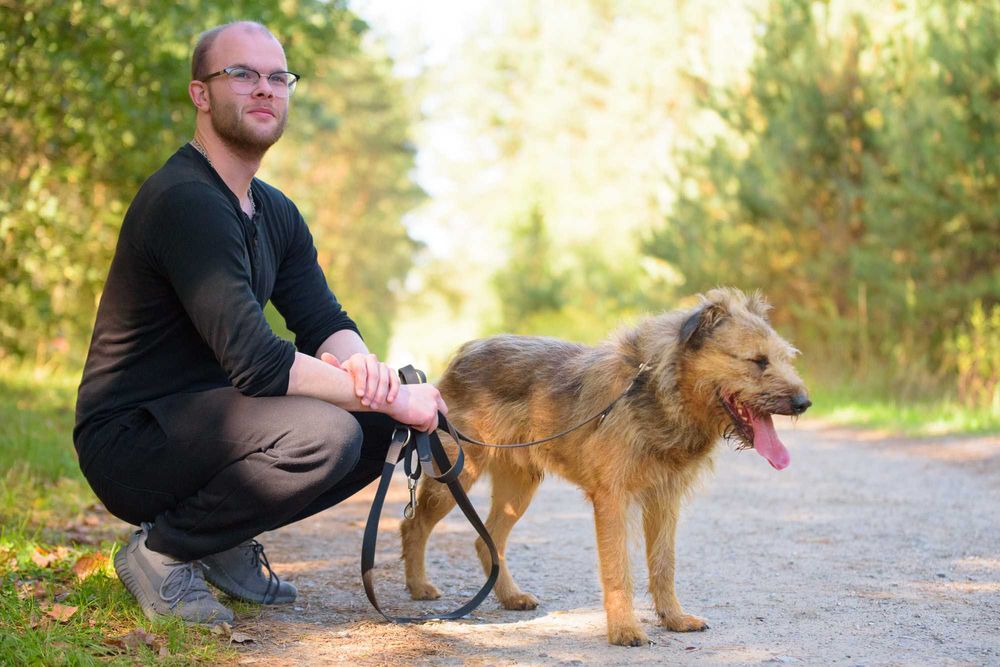 Dostojny Makesh w typie terriera szuka domu