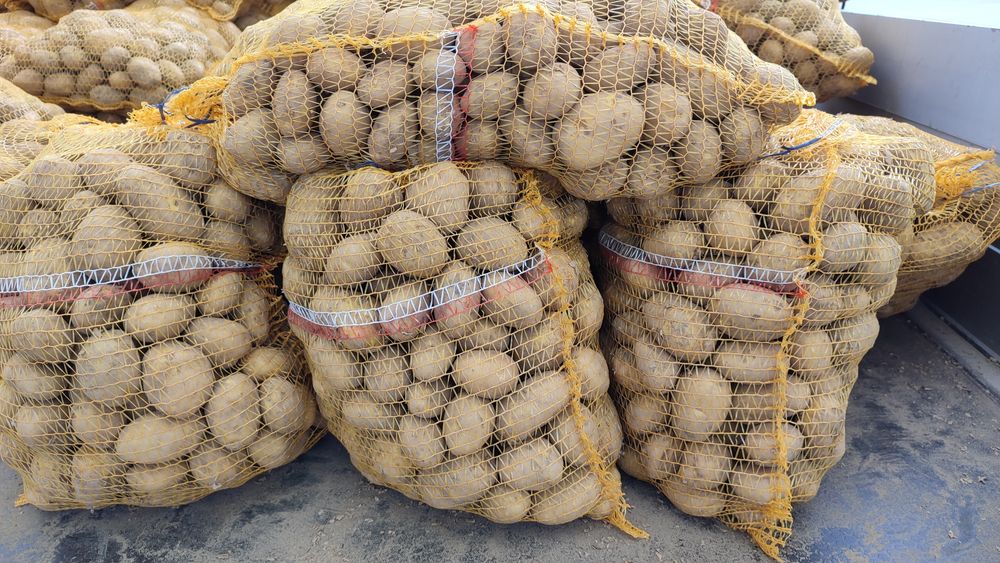 Ziemniaki jadalne Denar