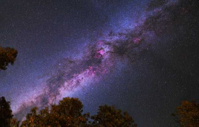 Celestron Nightscape CCD Cam p/ telescopio