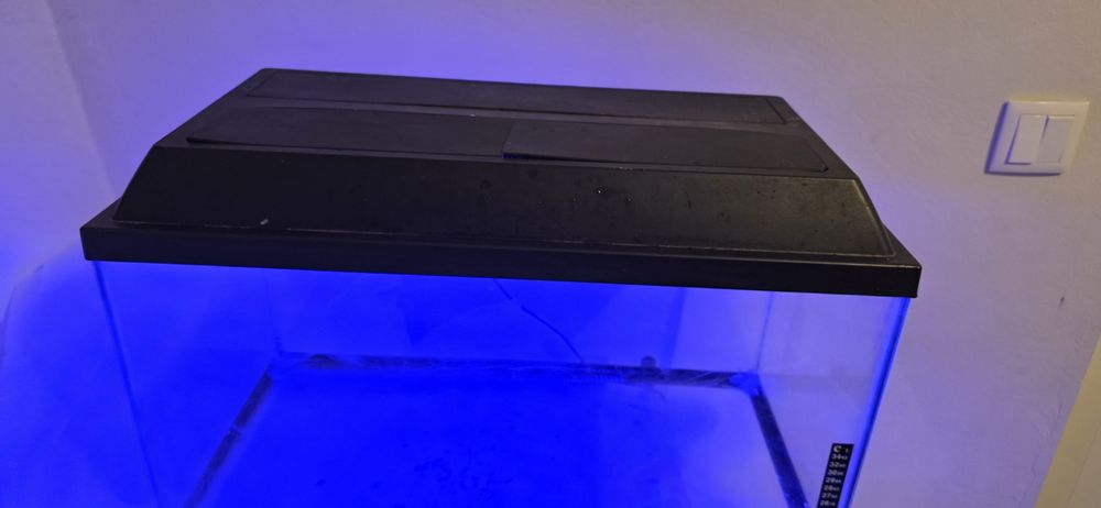 Aquário 60L com móvel