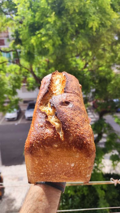 Venda/Troca BIO Pão Artesanal Massa Mãe