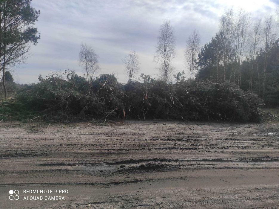 Wycinka drzew samosiejek REKULTYWACJA GRUNTÓW Zielona Góra +-60km