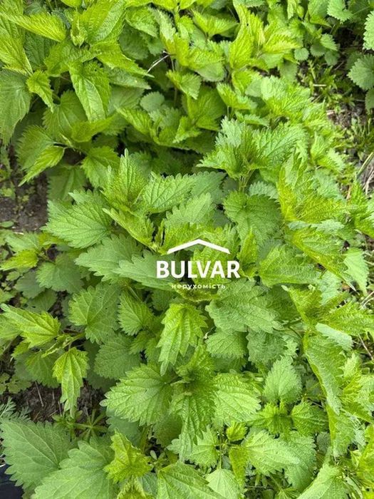 Продам ФЕРМУ, село Староверовка, Красноградский район