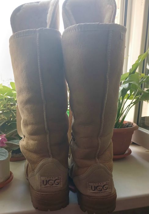 Класична вінтажна модель UGG Australia із серії Roxy Tall
