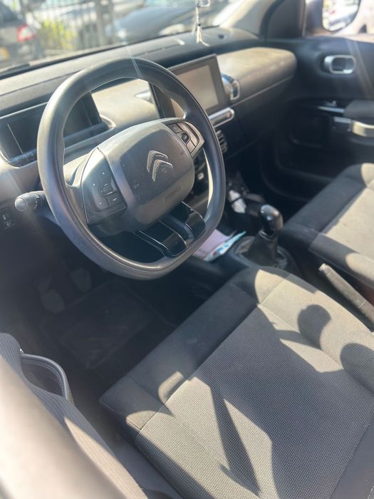 Citrien C4 Cactus