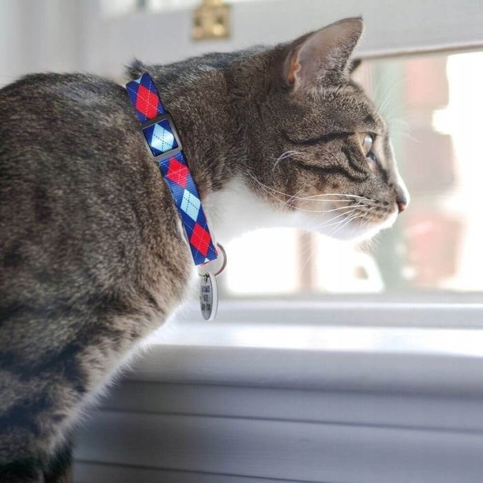 Obroża Materiałowa dla Małego Psa Piesków Szczeniaka Suczki Niebieska