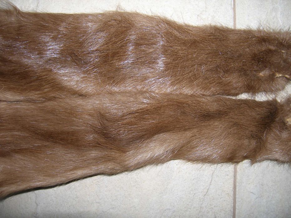 wyprawione skóry z nutrii