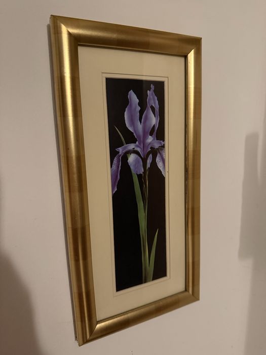 Zestaw 3 obrazów – kwiaty w złotych ramach, elegancka dekoracja