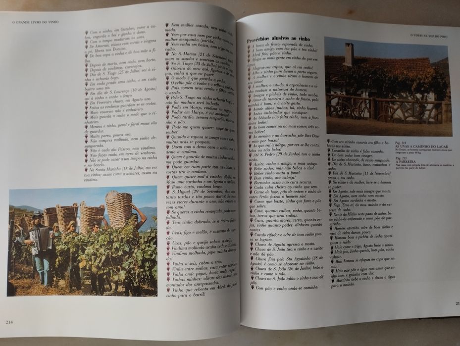 O Grande Livro do VINHO