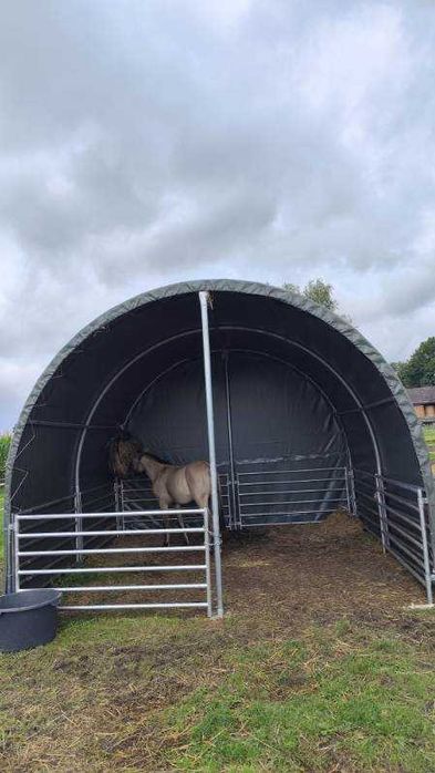 Namiot zagroda dla zwierząt hala kojec 6x6m wiata magazyn