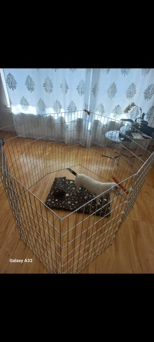 Kojec dla psa i szczeniaków ( ocynkowany)