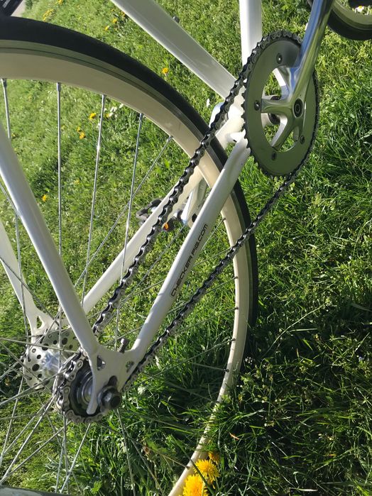 Rower ostre koło checker pig singlespeed