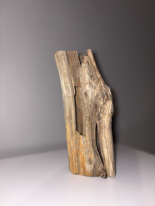 Akcesoria do terrarium