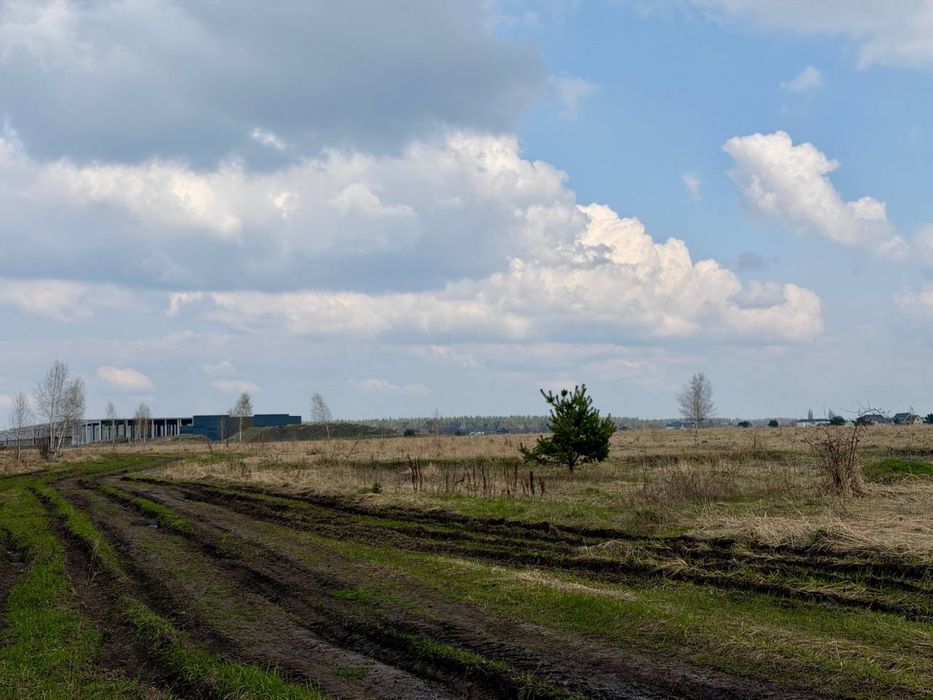 Ділянка 2 га КУТОВА під комерцію БЕЗ КОМІСІЇ