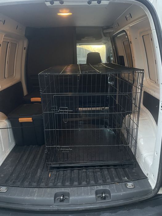Transport zwierzat psy/koty i inne