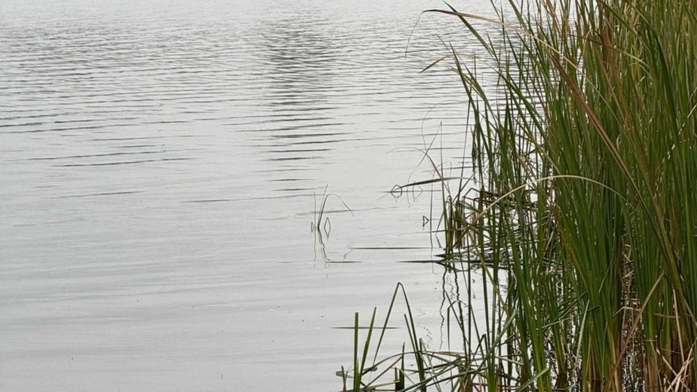 15 соток біля озера • 55 км від Києва • Можна будувати
