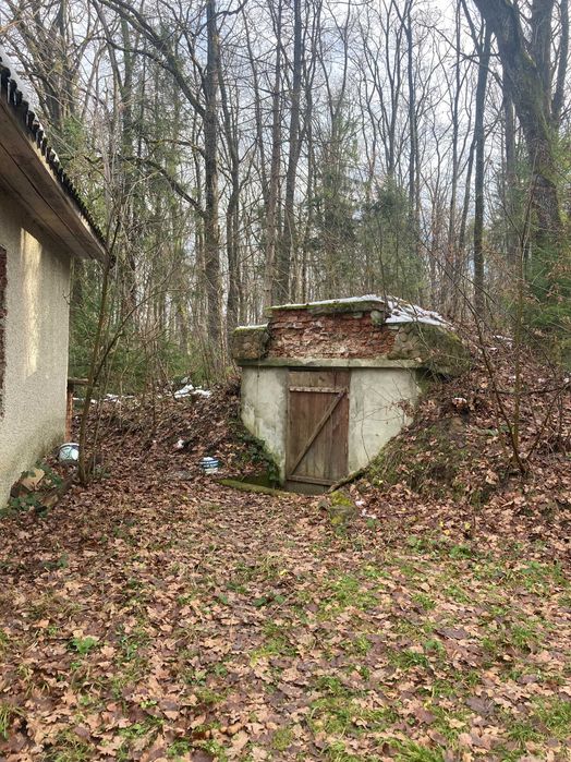 База відпочинку в Карпатах.