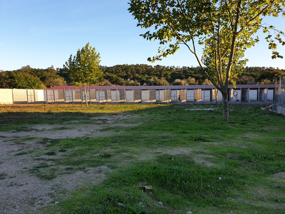 Hotel Canino Quinta do Pêgas