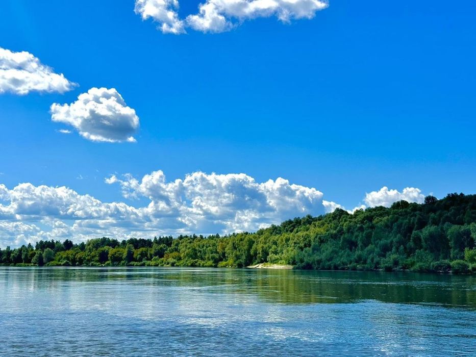 Оренда будиночка біля Десни с. Рожни!