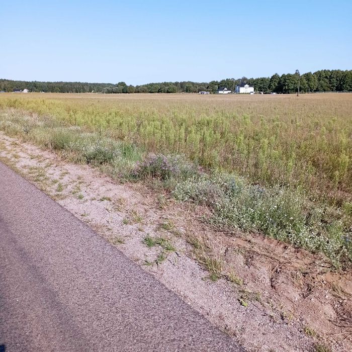Działka budowlana pod Mławą 960 m²