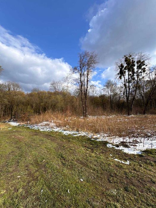 Продаж ділянки в с. Липники біля лісу