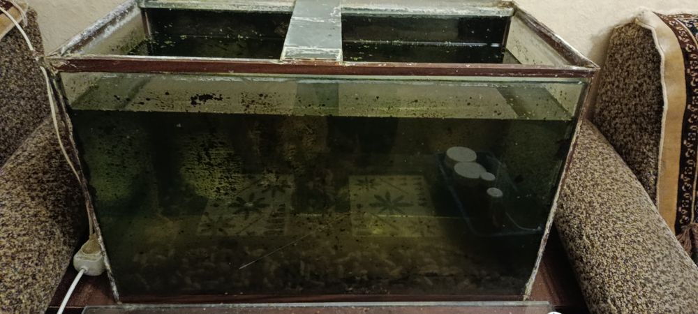 Акваріум 60л.відам безкоштовно