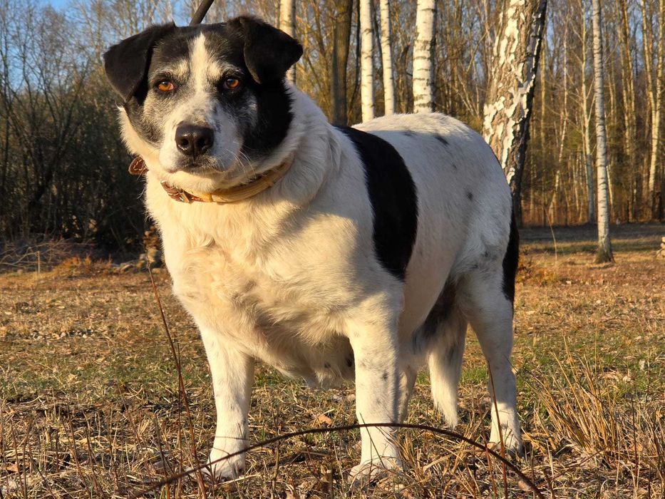 Lila - duże jest piękne