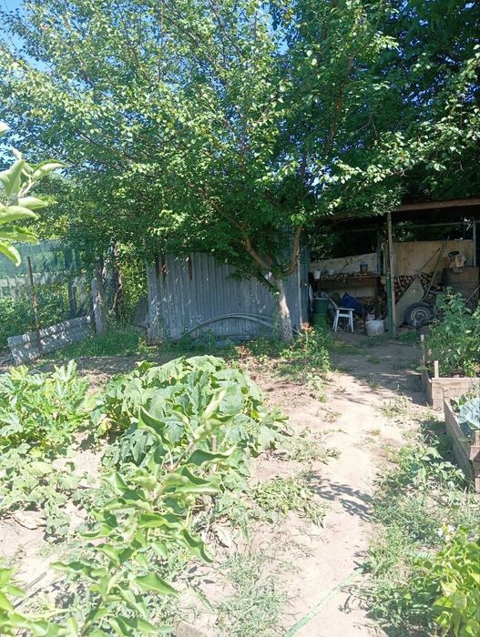 Продам дачний будинок масив Дружба