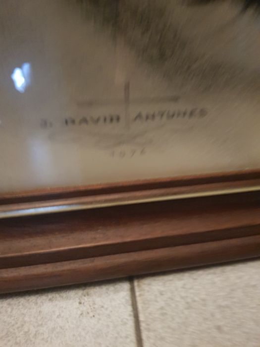 Bonito quadro David Antunes