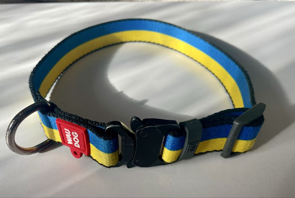 Нашийник для собак жовто-блакитний L