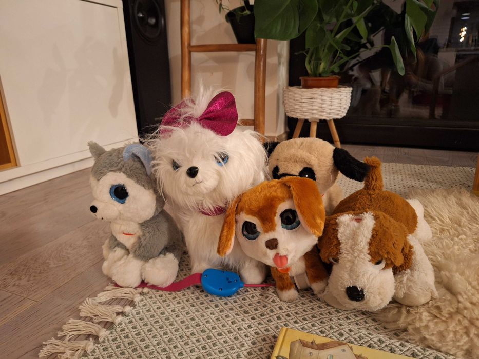 Domek dla lalek Einhorn, Myszki Minnie, zestaw książek ,,Basia" i inne