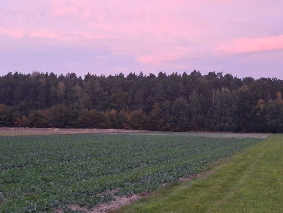 Sprzedam działkę budowlaną z WZ-bezterminowym Wronowice ul.Urocza 1200 m² pod lasem - Widok 4