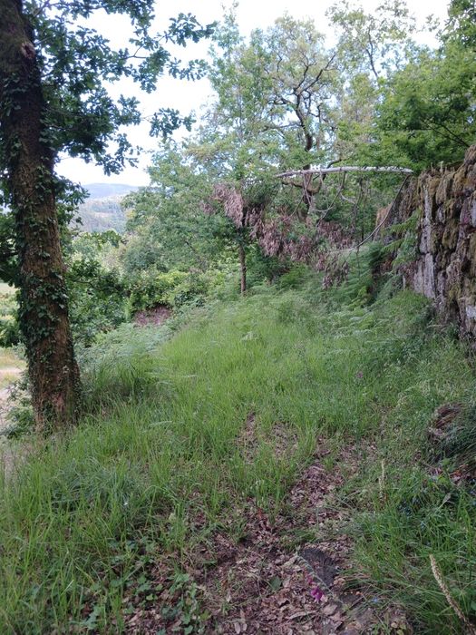 Vendo terreno com ruina para construir.