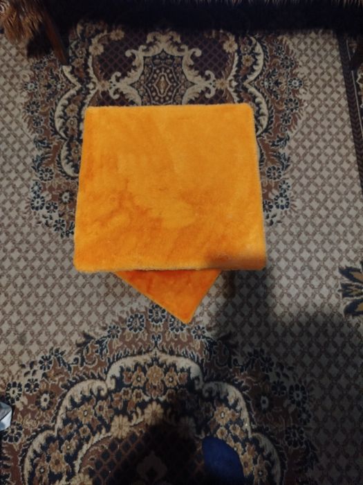 Кошачья когти точка