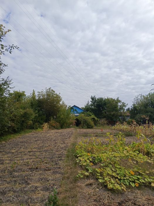 Дача  8,5 соток СТ Джерело (Десна ,Земснаряд)