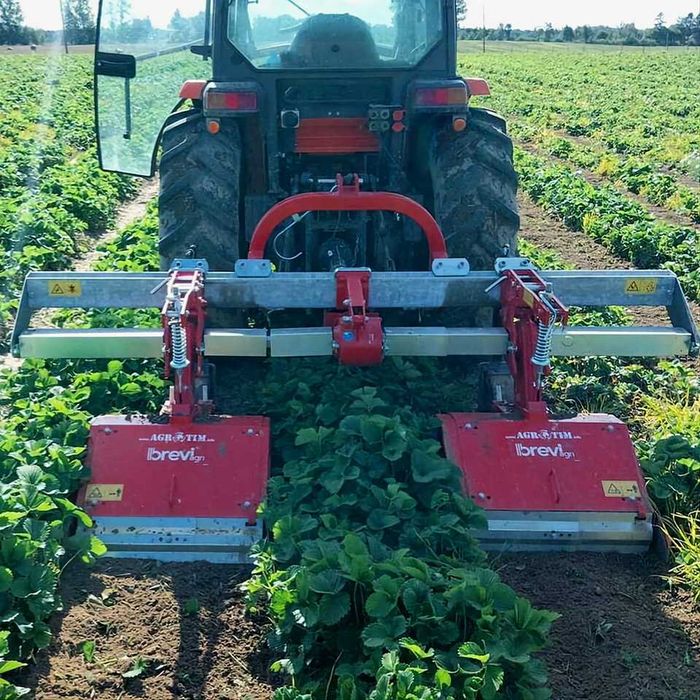 Фреза садова міжрядна, грунтофреза Breviglieri для полуниці почвофреза