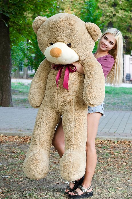 М'яка іграшка ведмідь медвідь плюшевий