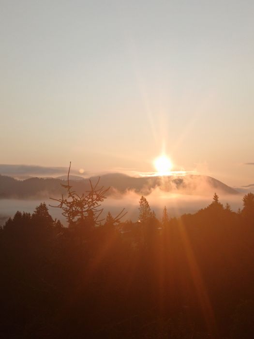 Від власника земельна ділянка під забудову!