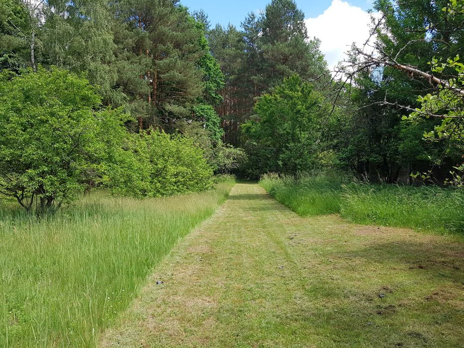 sprzedam działkę - Widok 3