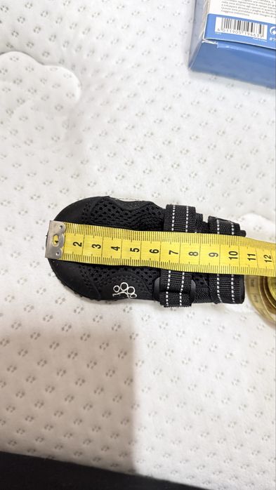 Взуття для собак