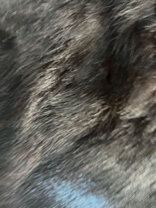 Futro z norek czarne z Gdańskie Zakłady Futrzane