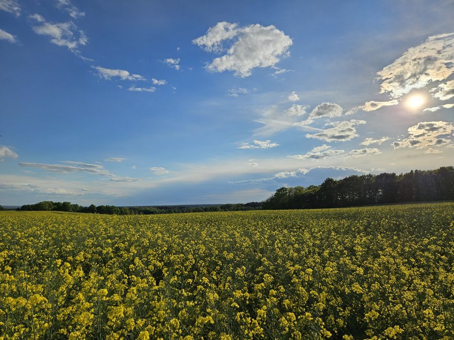Działki budowlane Trzebicko