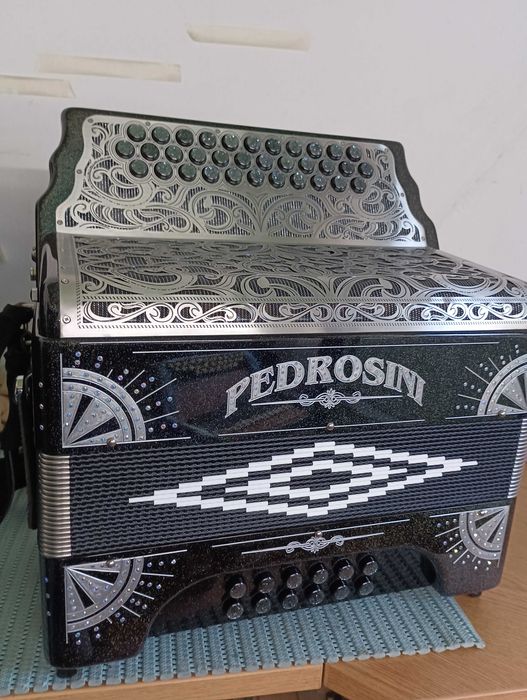 Concertina pedrosini Leiria, Pousos, Barreira E Cortes • OLX Portugal