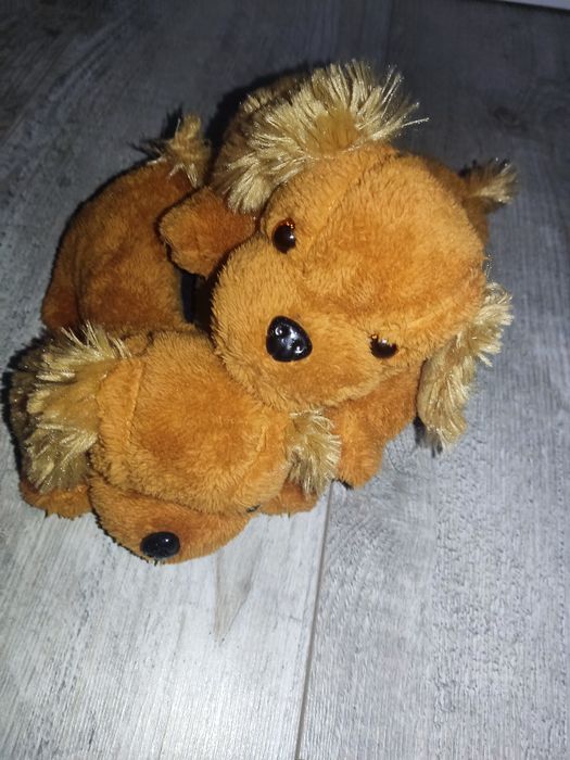 Nowe kapciuszki pieski