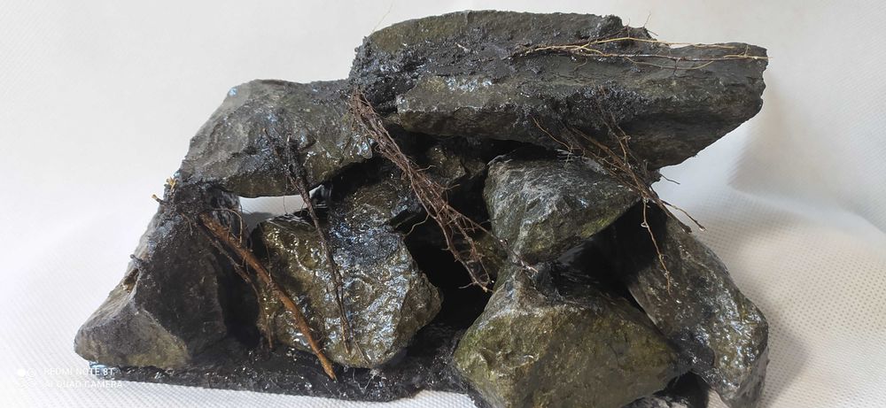 Skałka z otworami z korzeniami