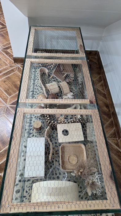 Chomikarium akwarium 150x50x50