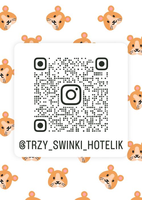 Hotel hotelik przechowalnia dla gryzoni i królików :)